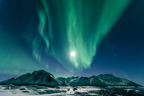 The northern lights glowing green over a snowy landscape